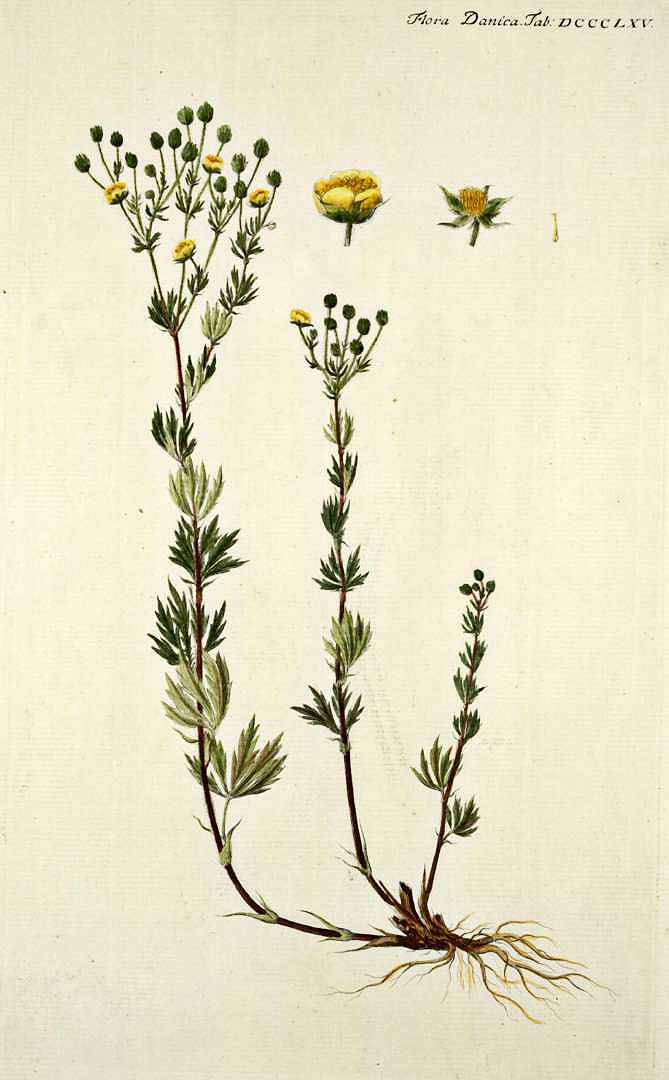 no HD illustration available (3)