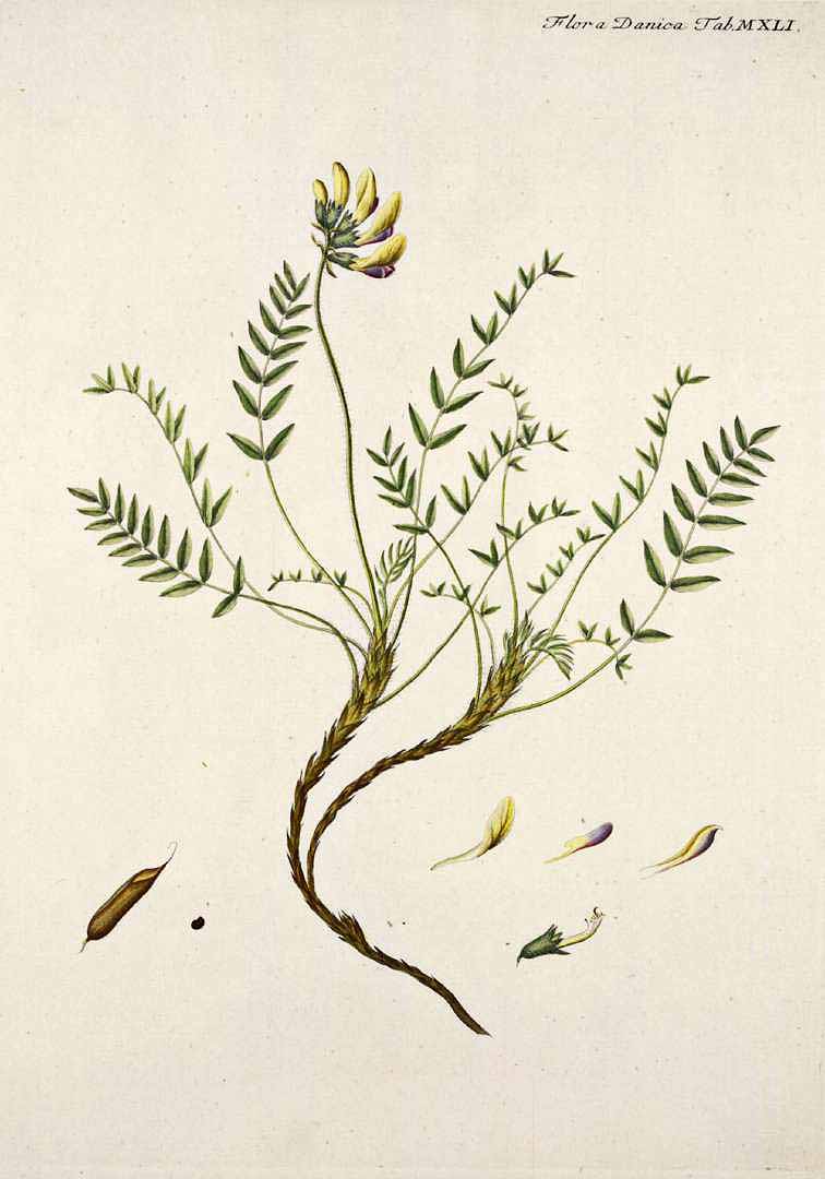 no HD illustration available (3)