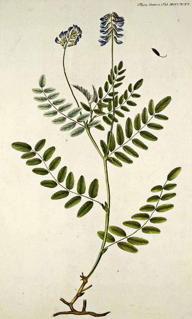 no HD illustration available (3)