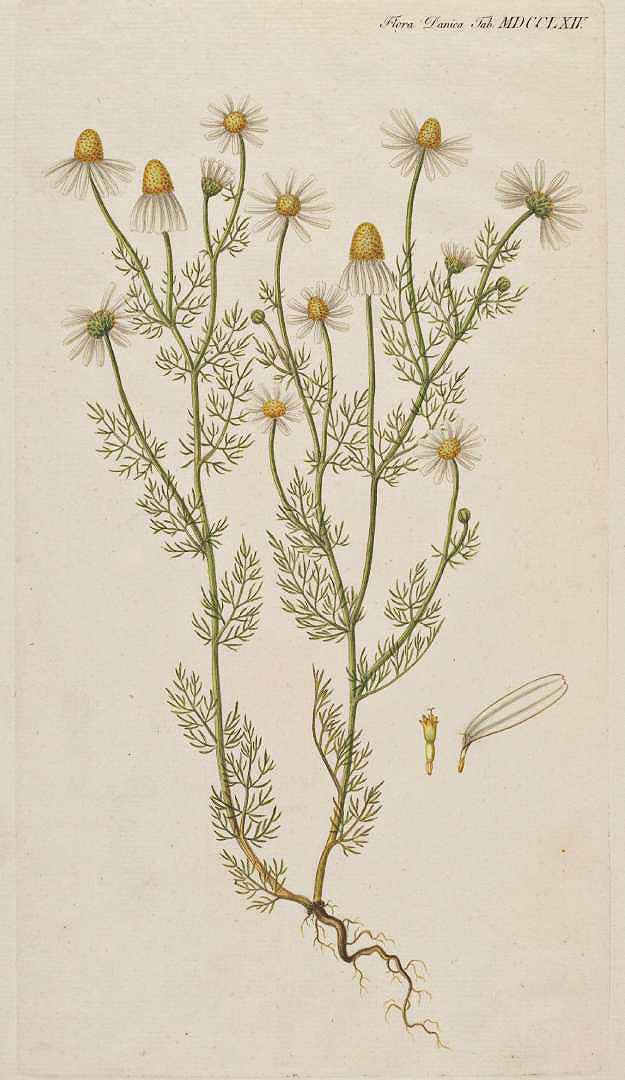 no HD illustration available (3)