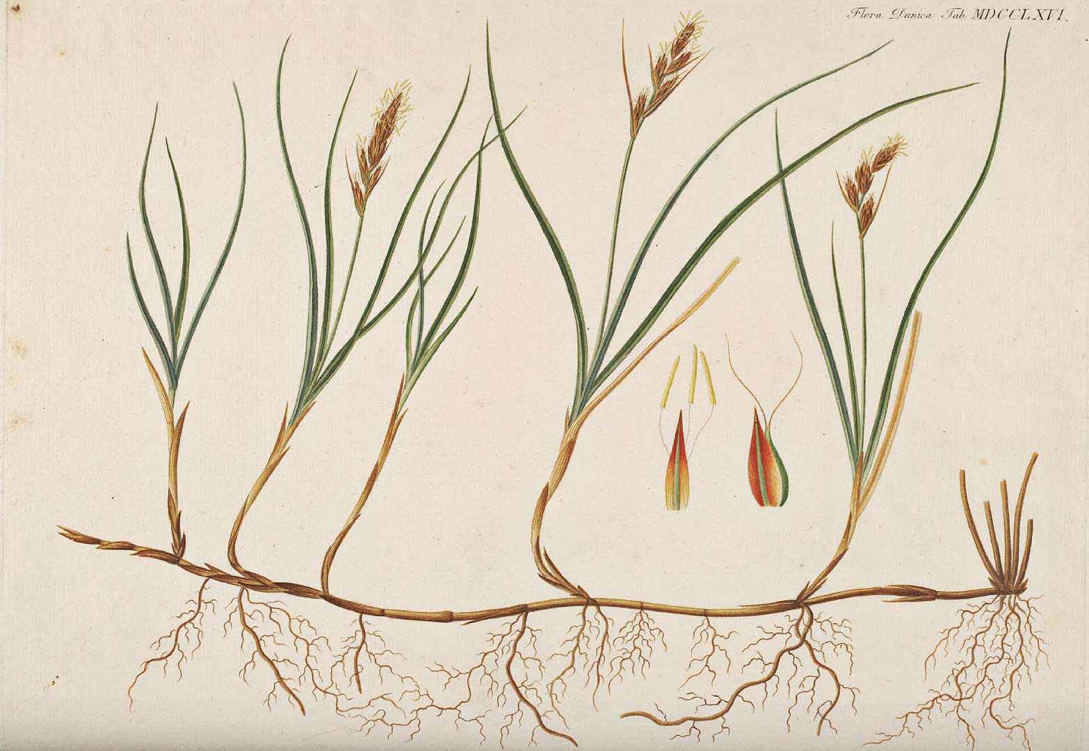 no HD illustration available (3)