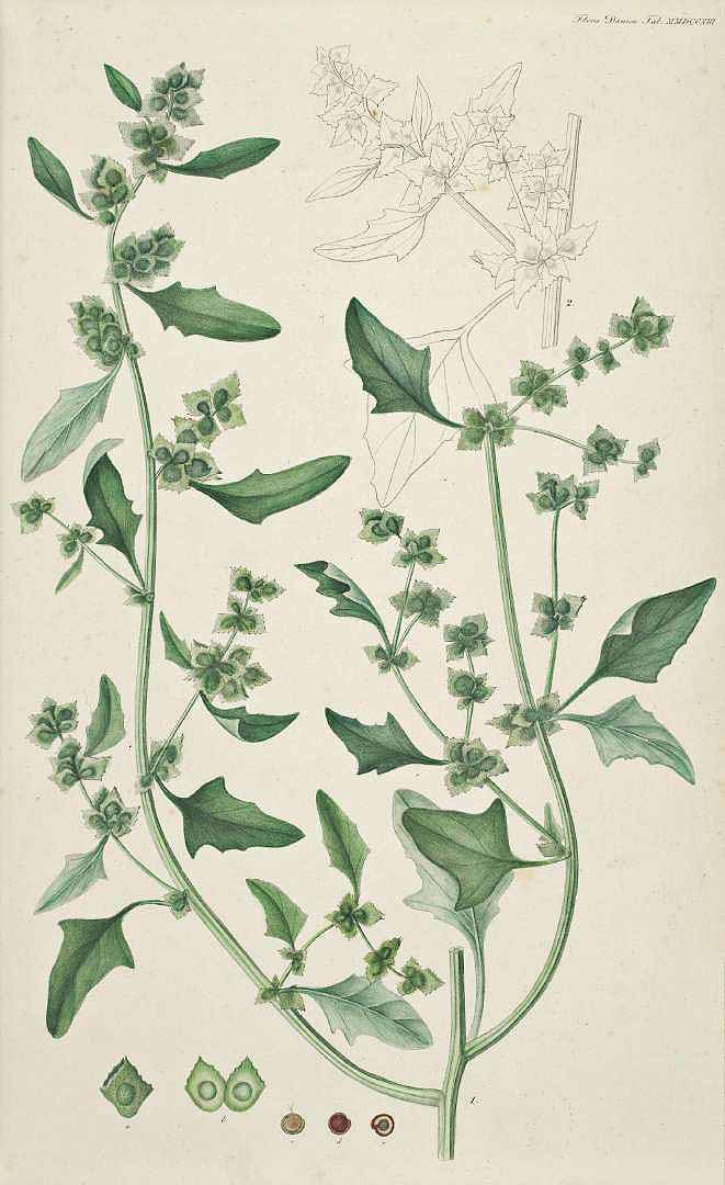 no HD illustration available (3)