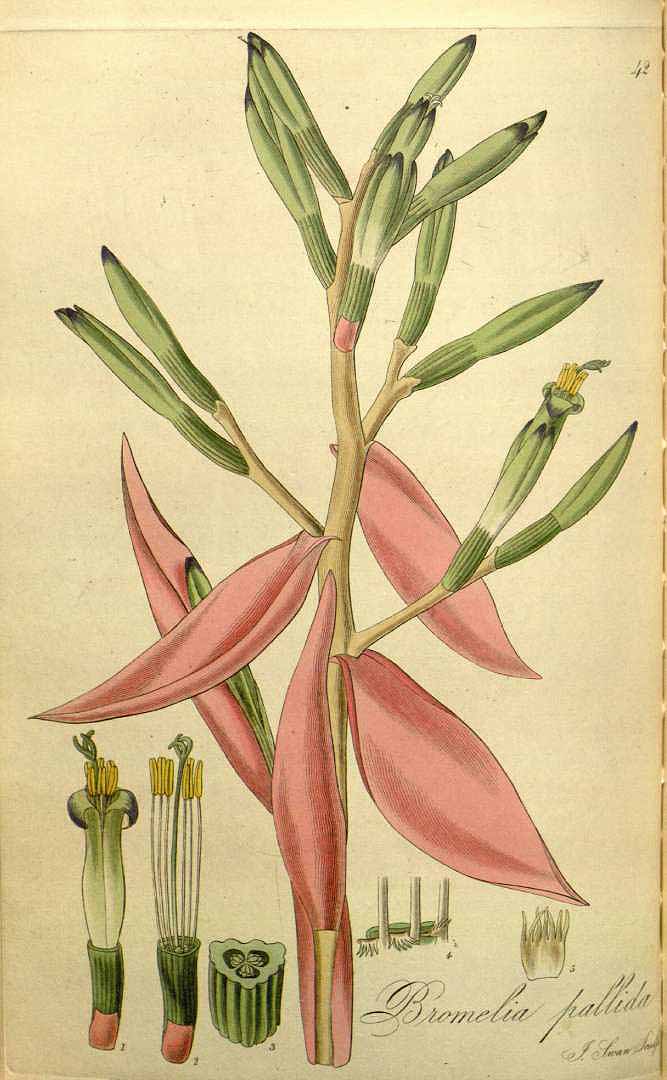 no HD illustration available (3)