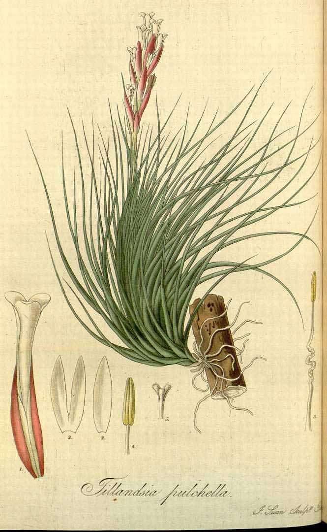 no HD illustration available (3)