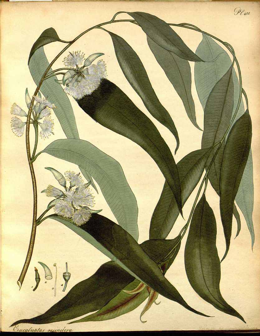 no HD illustration available (3)