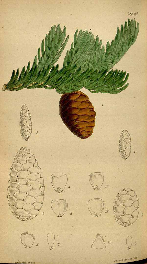 no HD illustration available (3)