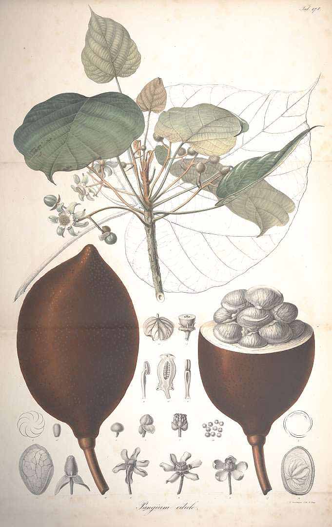 no HD illustration available (3)