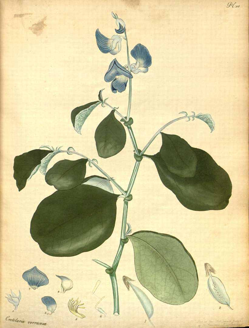 no HD illustration available (3)