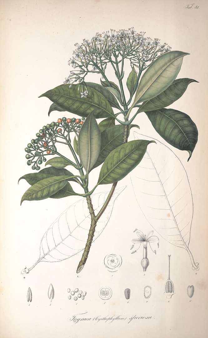 no HD illustration available (3)