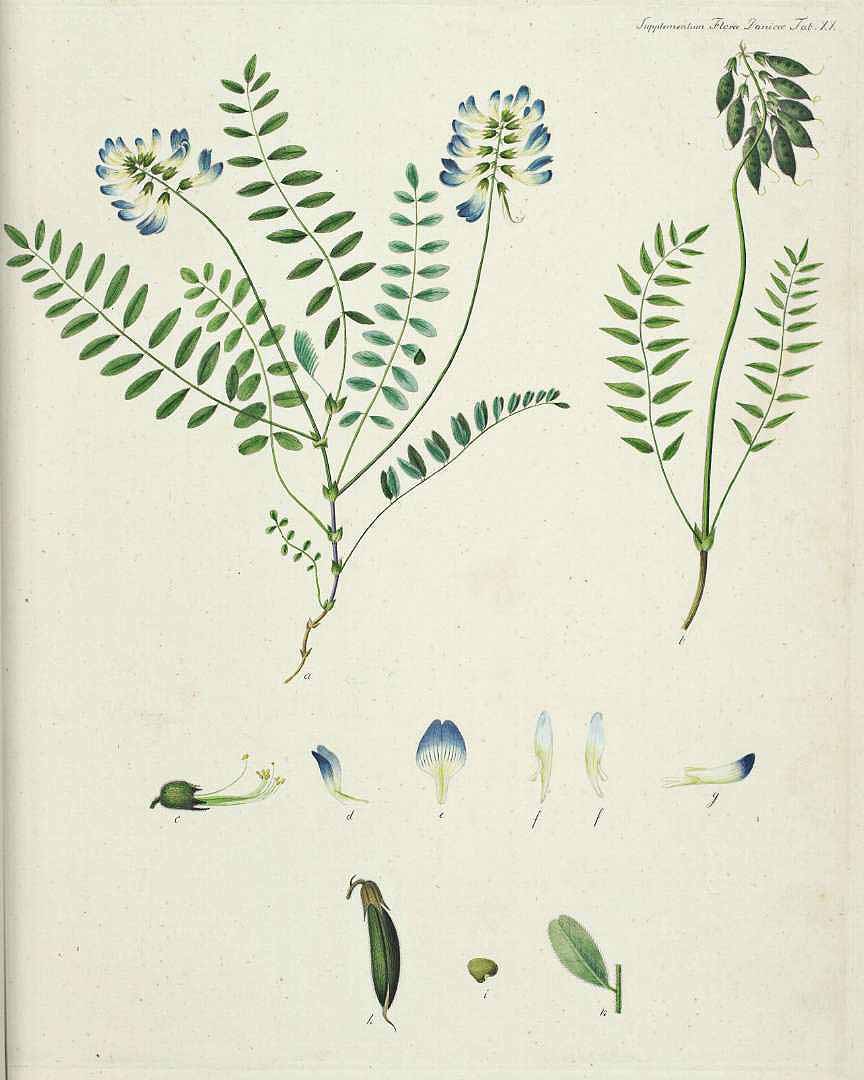 no HD illustration available (3)