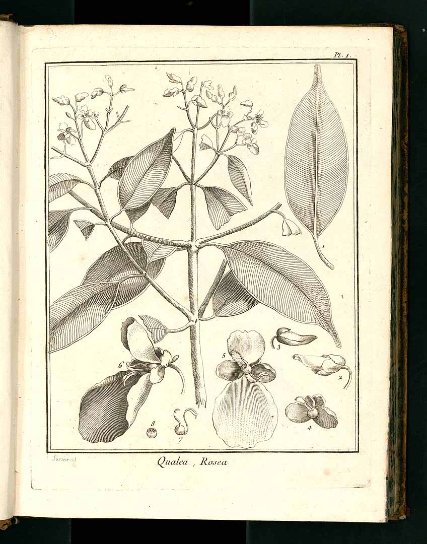 no HD illustration available (3)