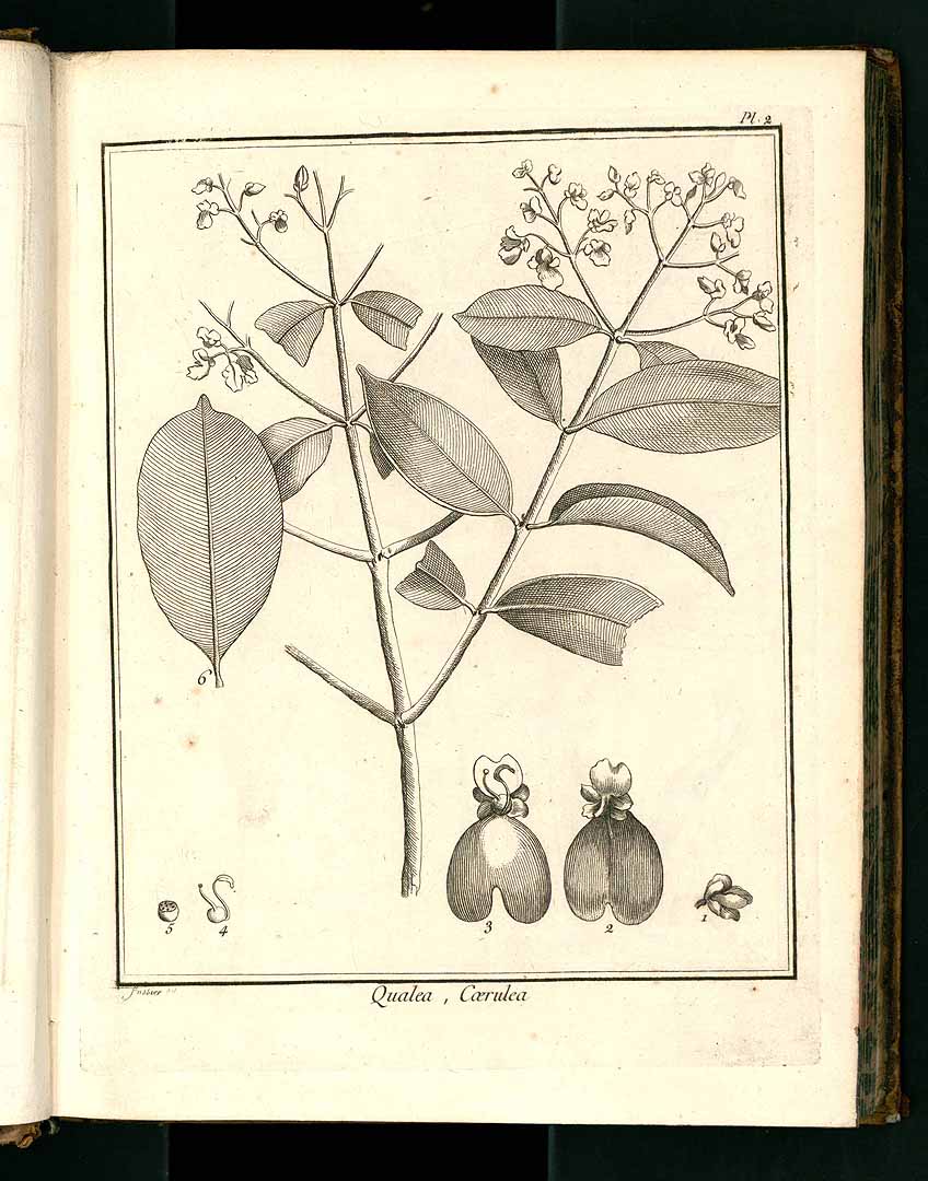 no HD illustration available (3)