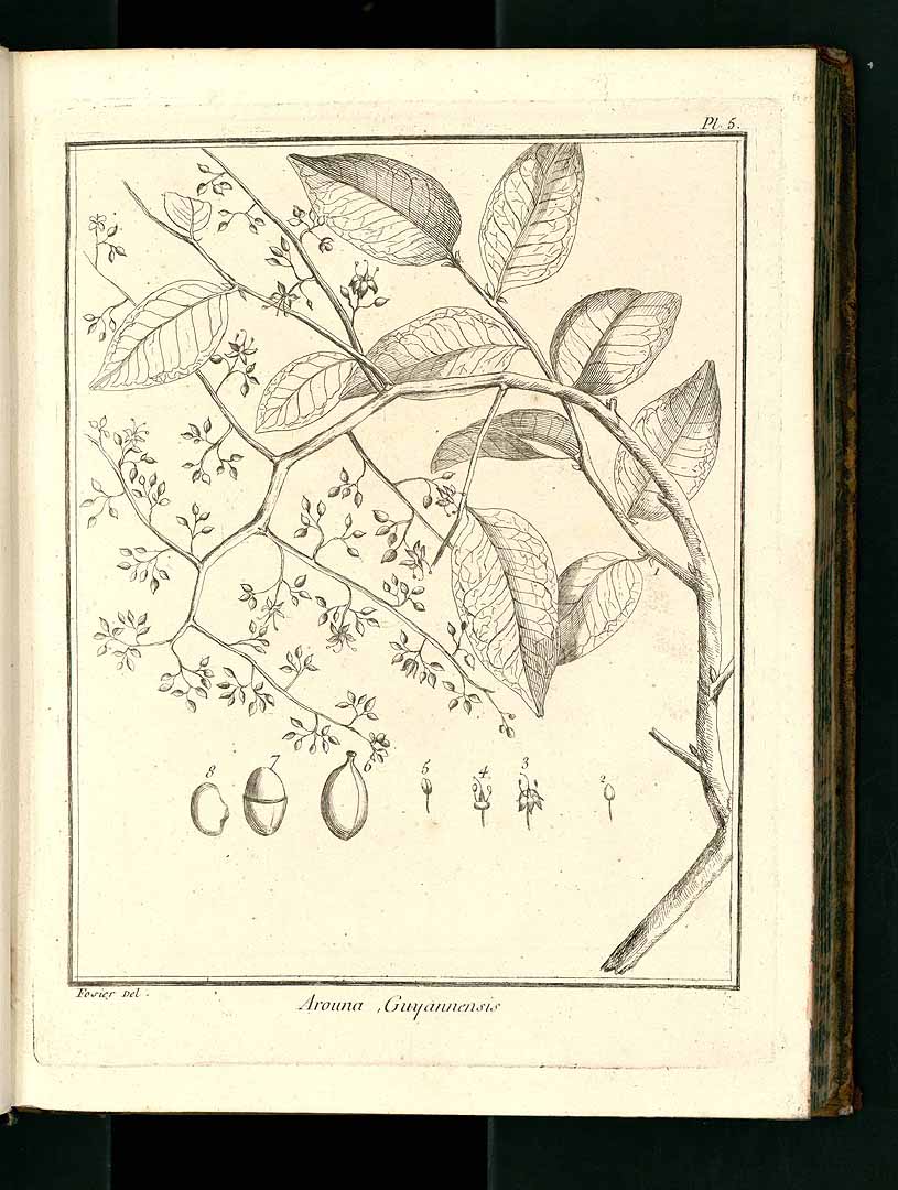 no HD illustration available (3)