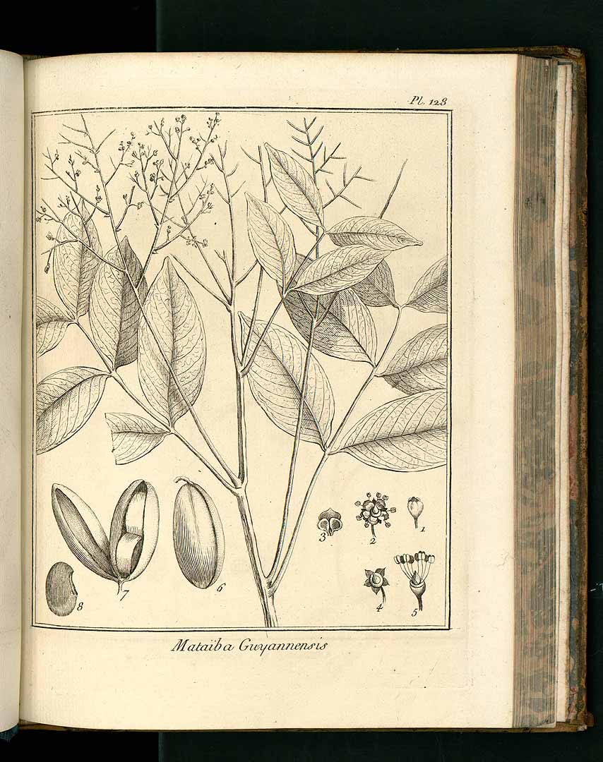 no HD illustration available (3)