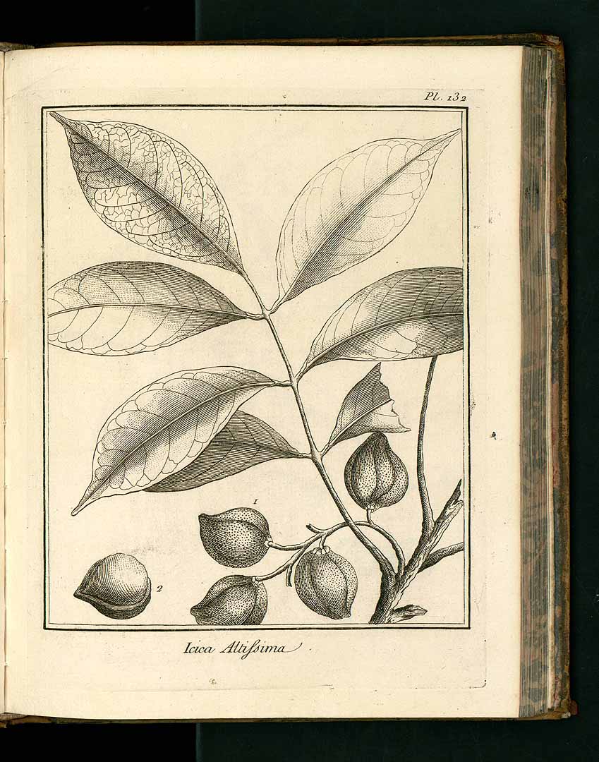 no HD illustration available (3)