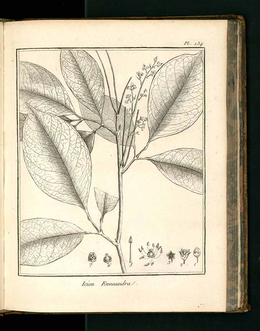 no HD illustration available (3)