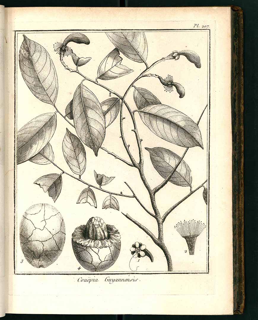 no HD illustration available (3)