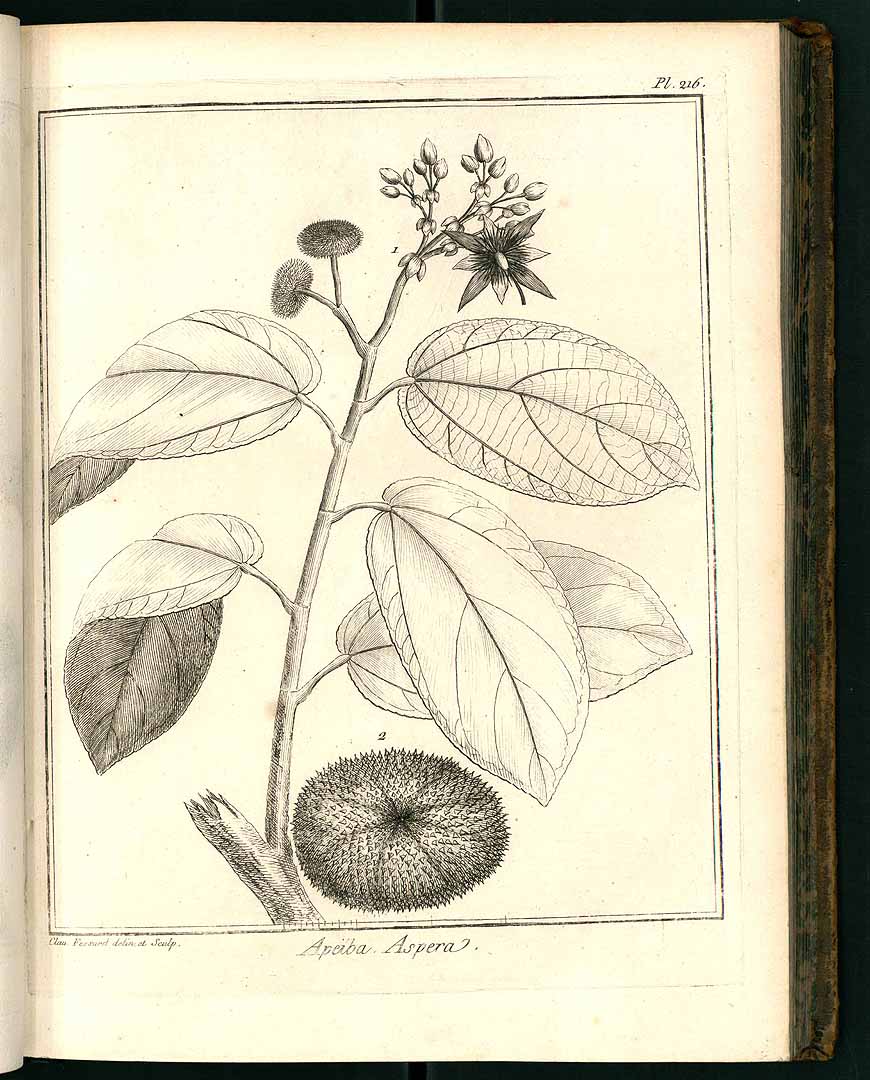 no HD illustration available (3)