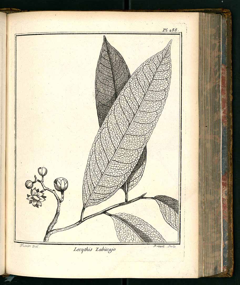 no HD illustration available (3)