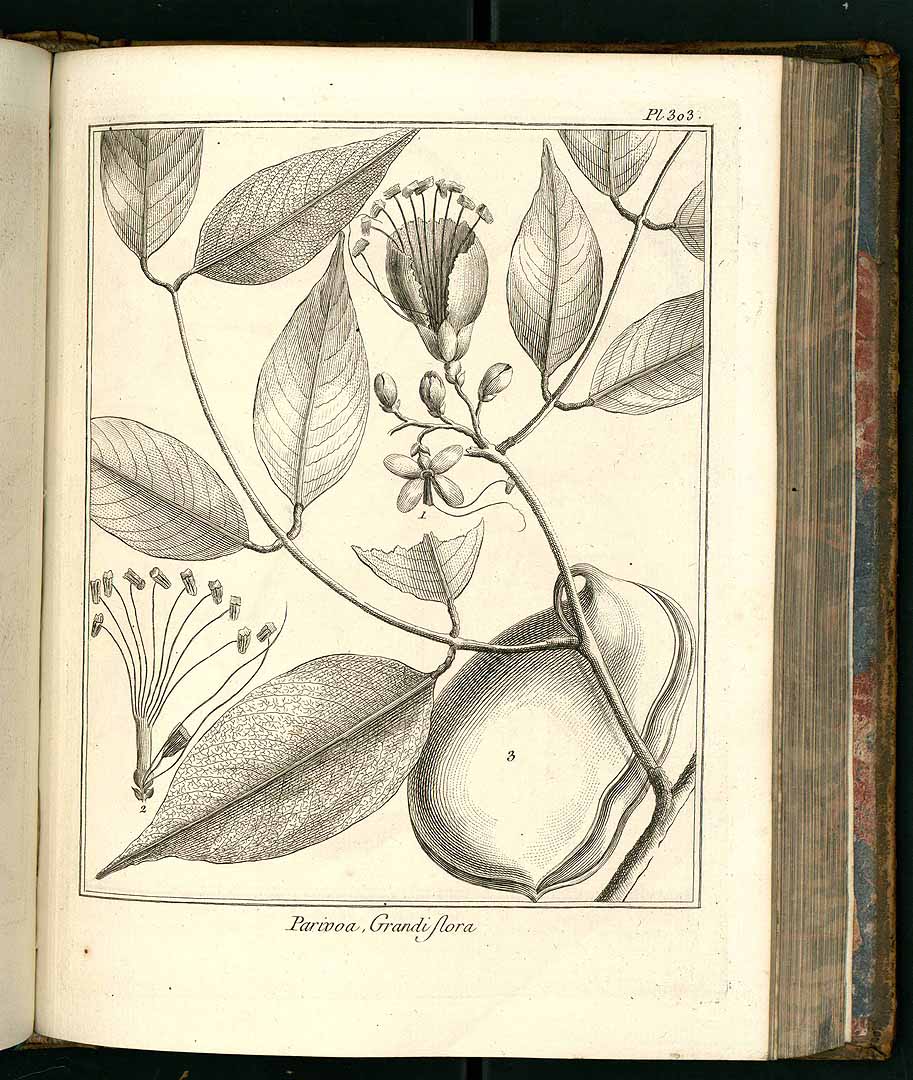 no HD illustration available (3)