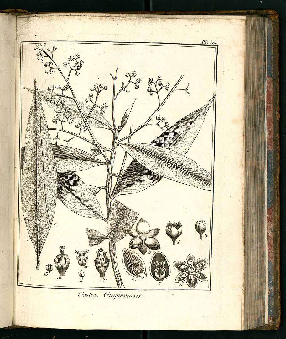 no HD illustration available (3)