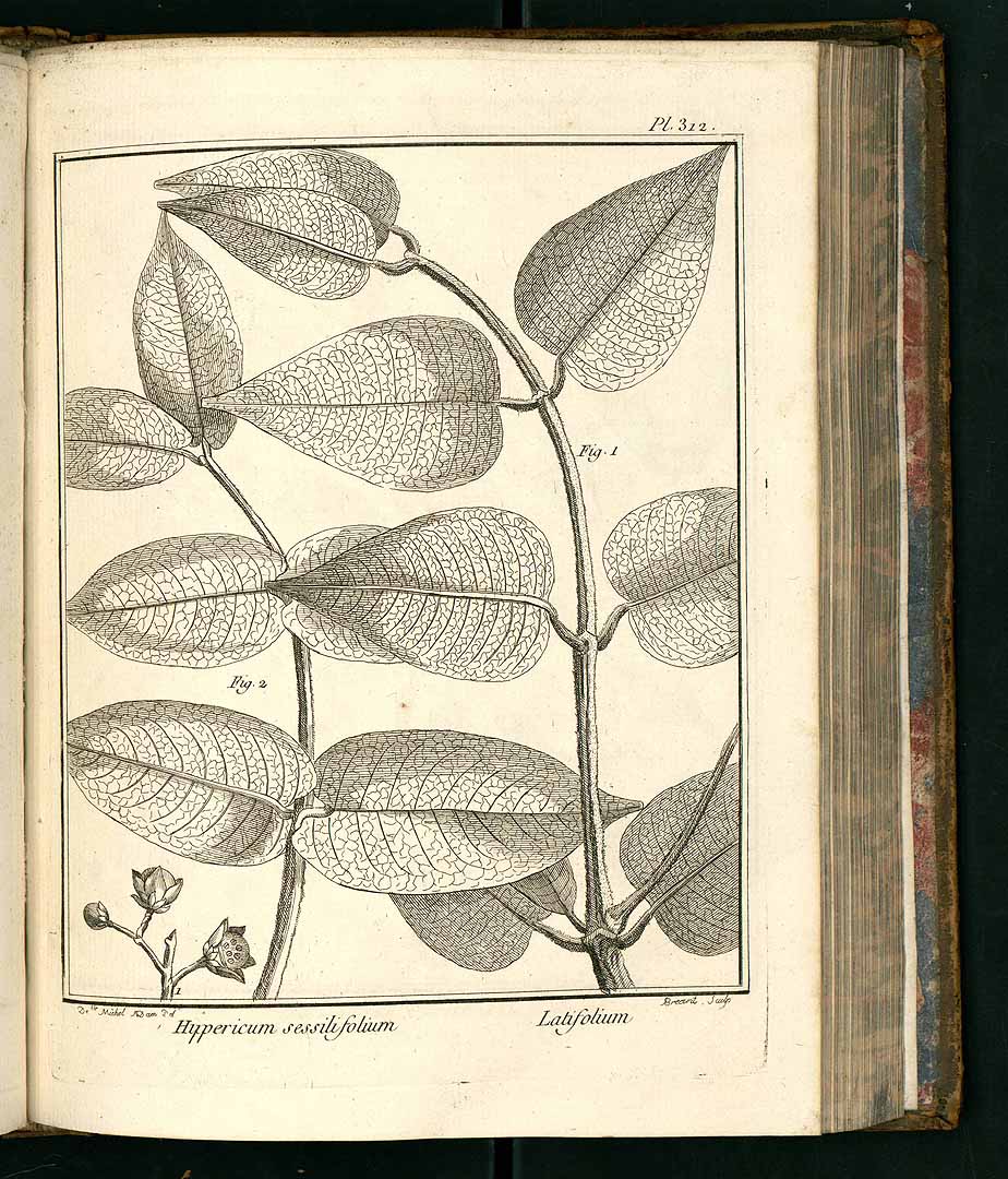 no HD illustration available (3)