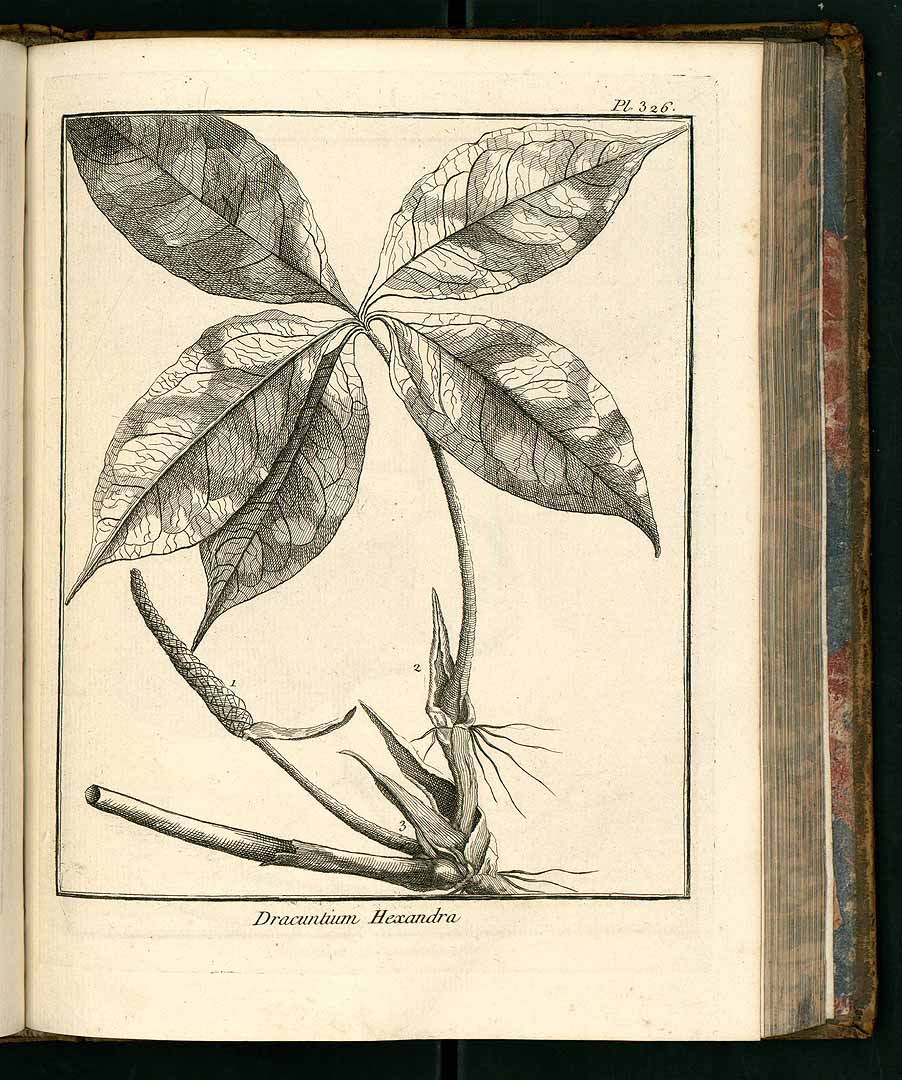 no HD illustration available (3)