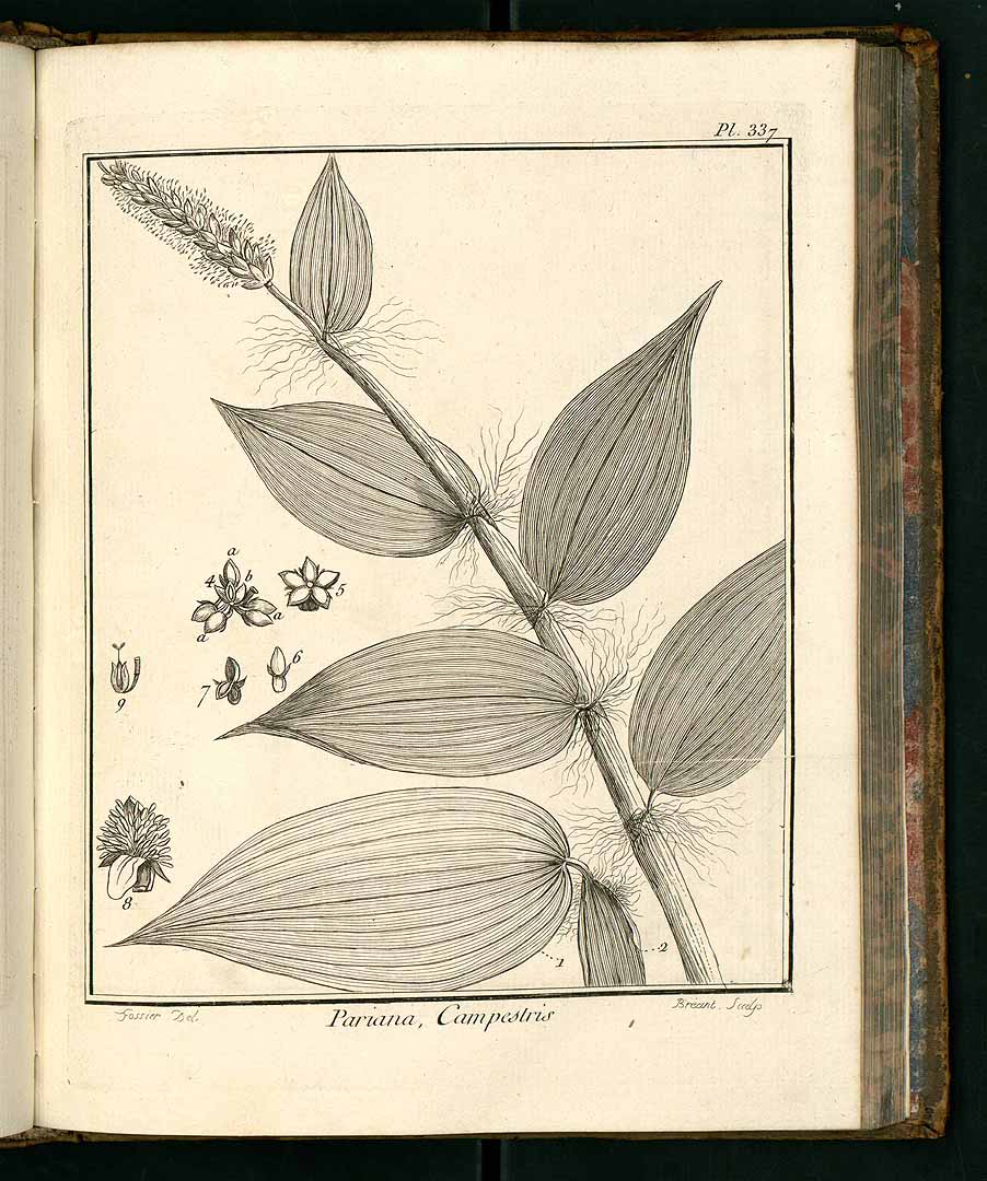 no HD illustration available (3)