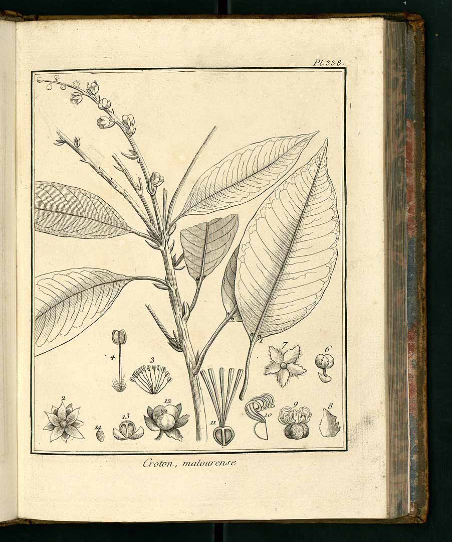 no HD illustration available (3)