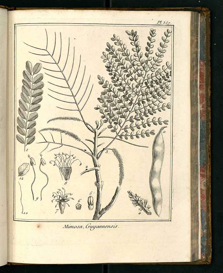 no HD illustration available (3)