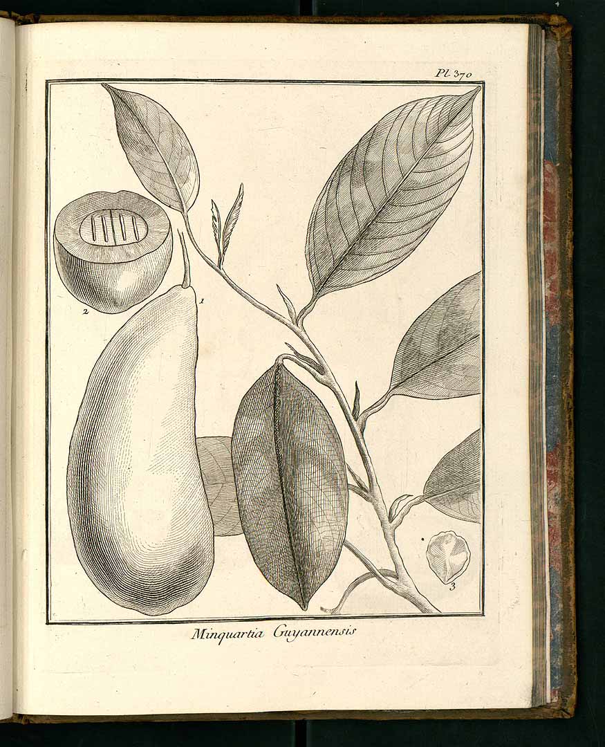 no HD illustration available (3)