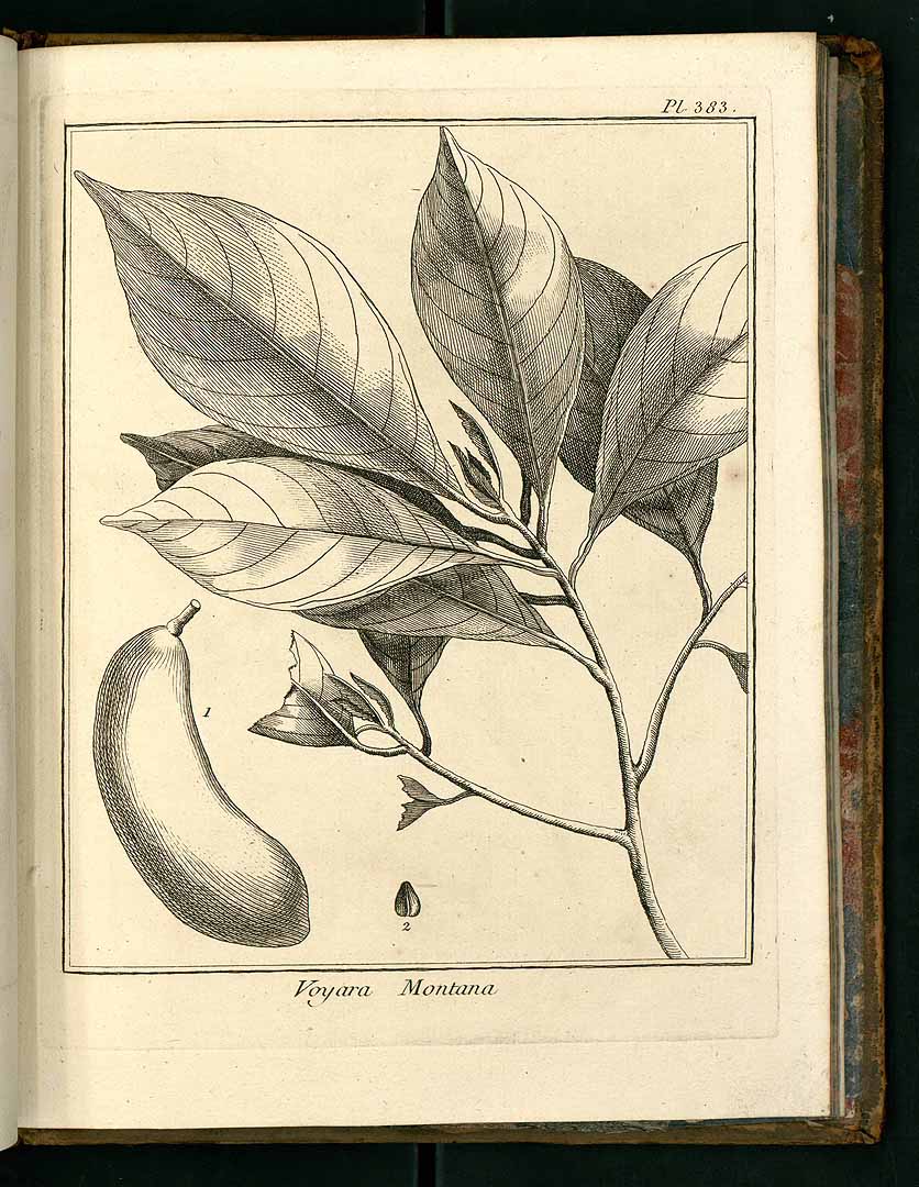 no HD illustration available (3)