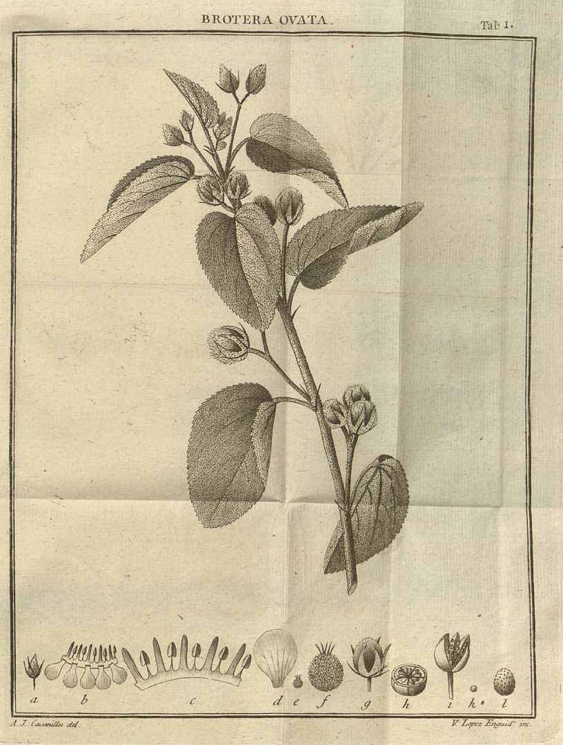 no HD illustration available (3)