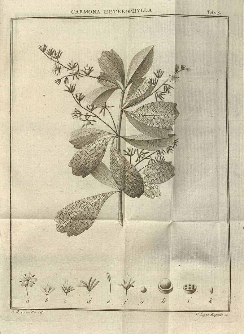 no HD illustration available (3)