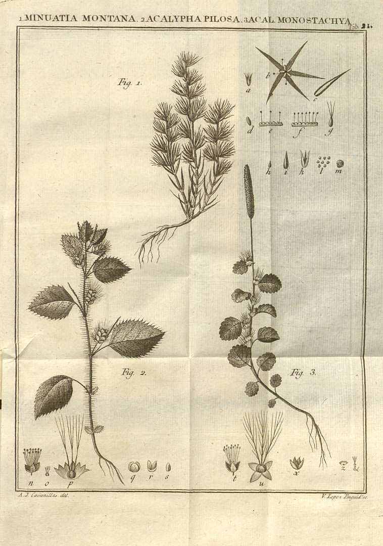 no HD illustration available (3)