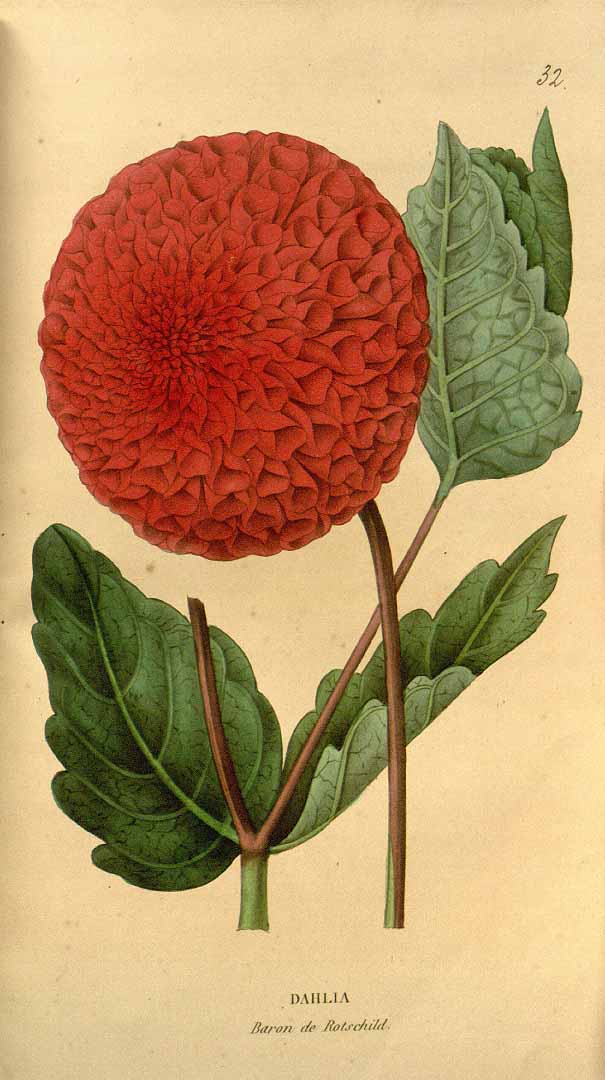 no HD illustration available (3)