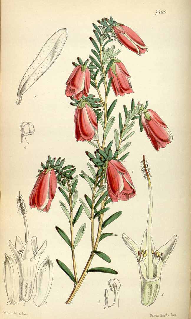 no HD illustration available (3)