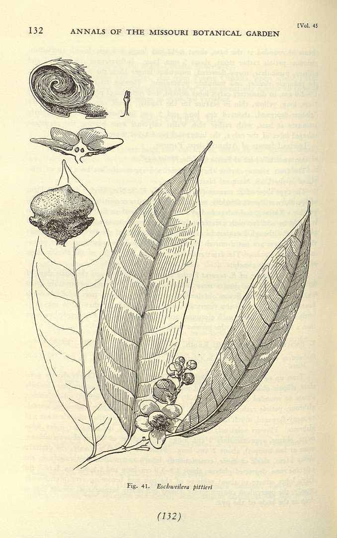 no HD illustration available (3)