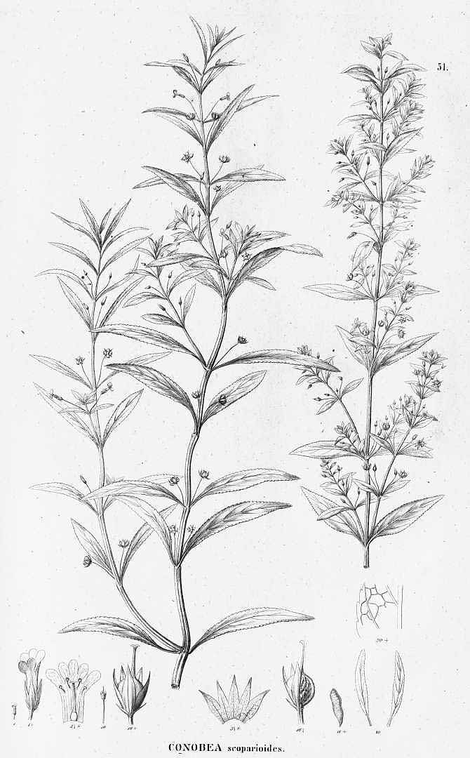 no HD illustration available (3)