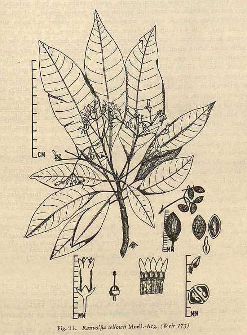 no HD illustration available (3)