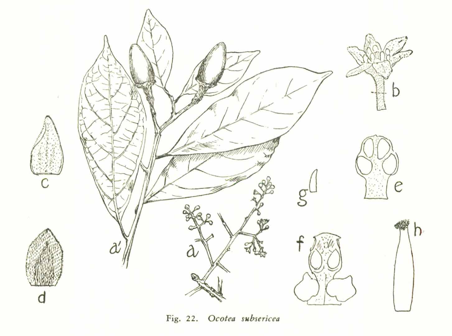 no HD illustration available (3)