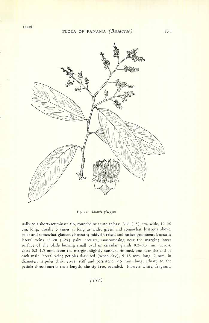 no HD illustration available (3)