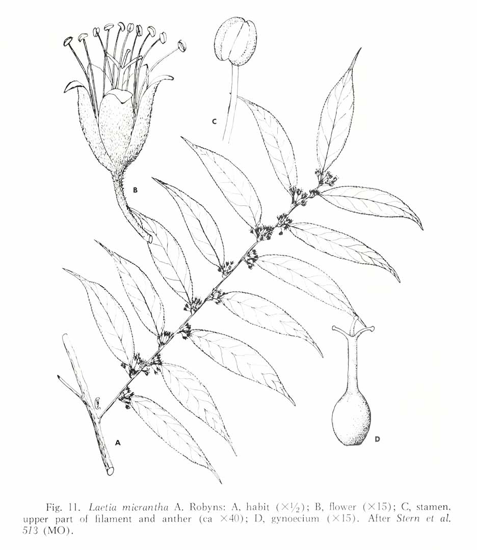 no HD illustration available (3)