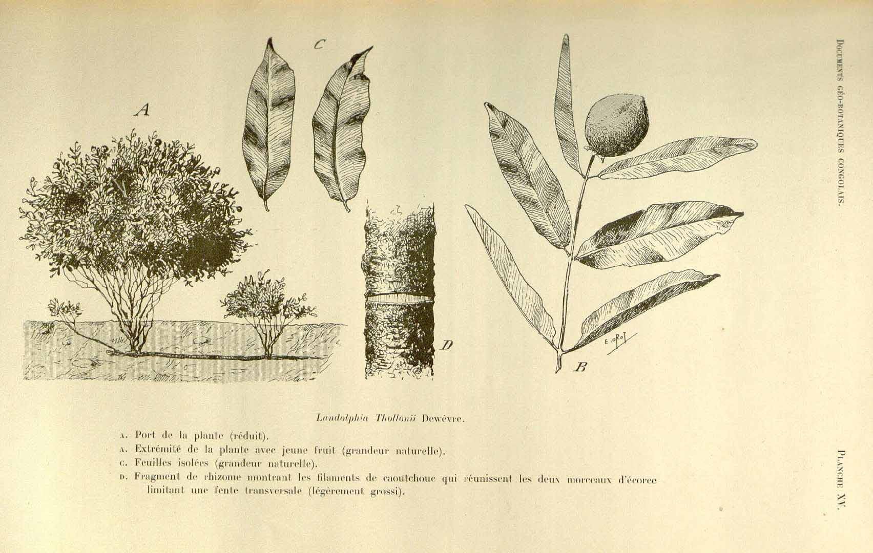 no HD illustration available (3)