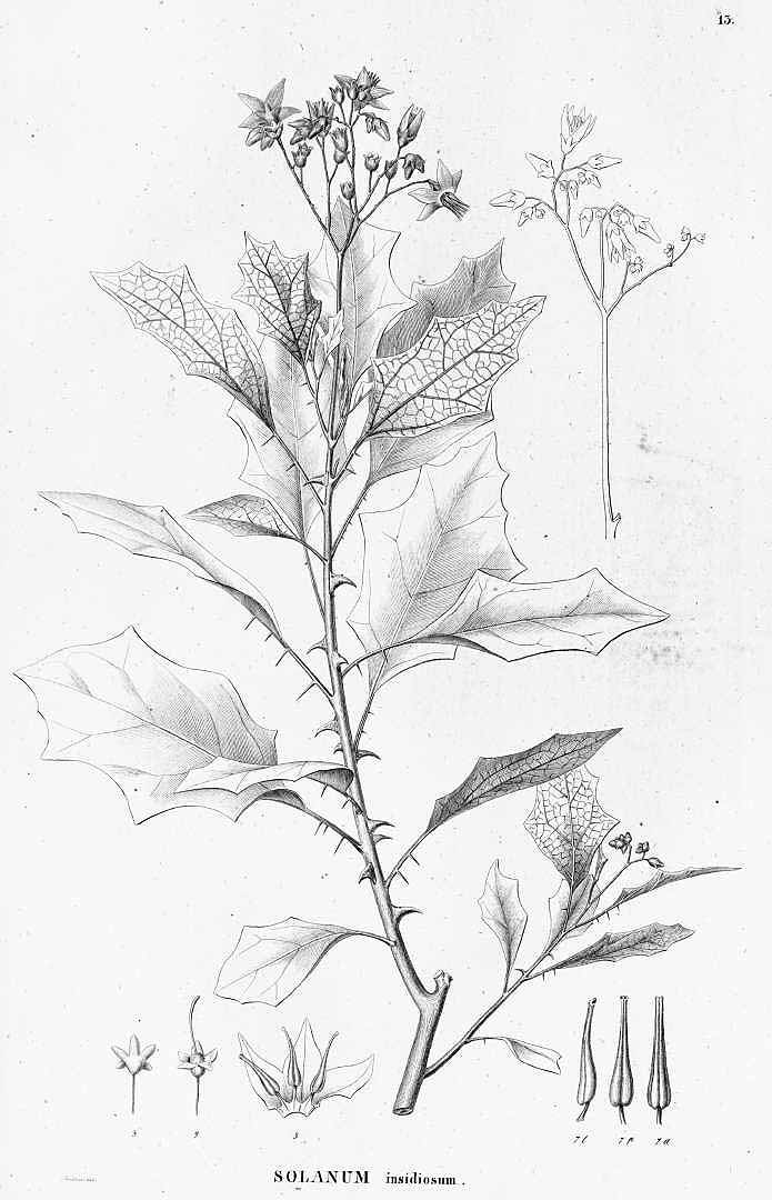 no HD illustration available (3)