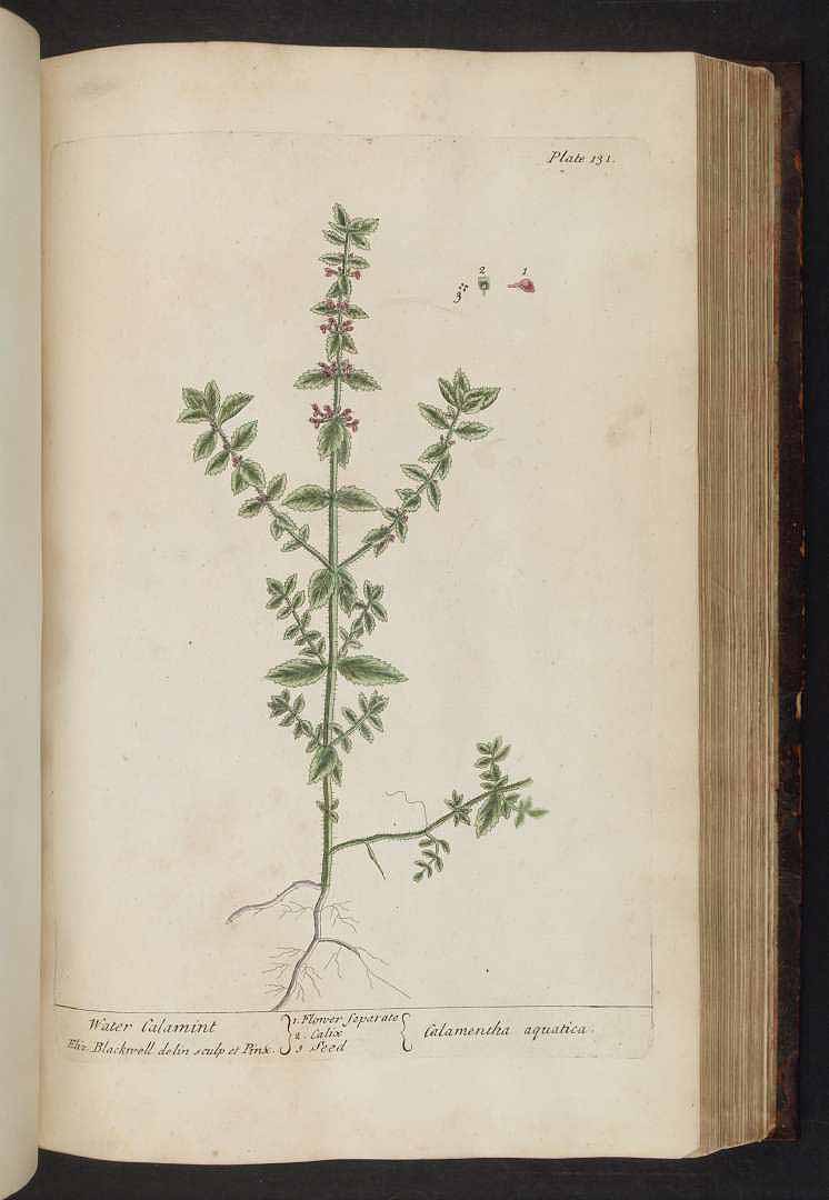 no HD illustration available (3)