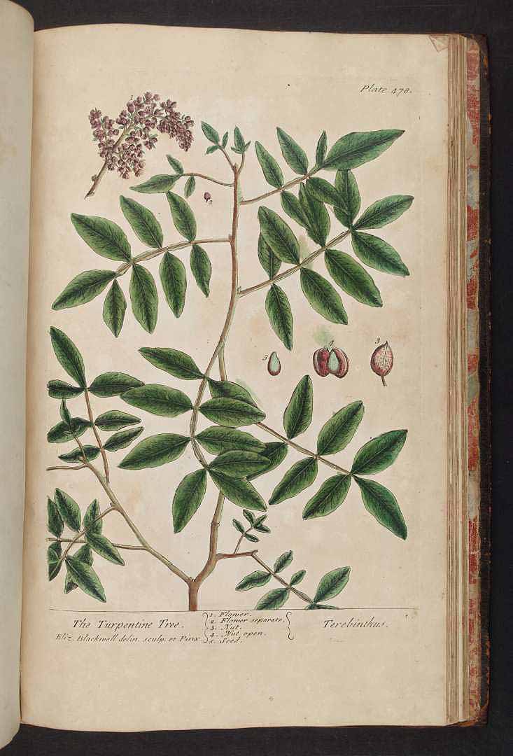 no HD illustration available (3)