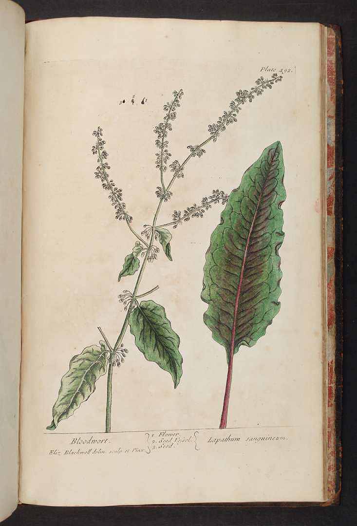 no HD illustration available (3)