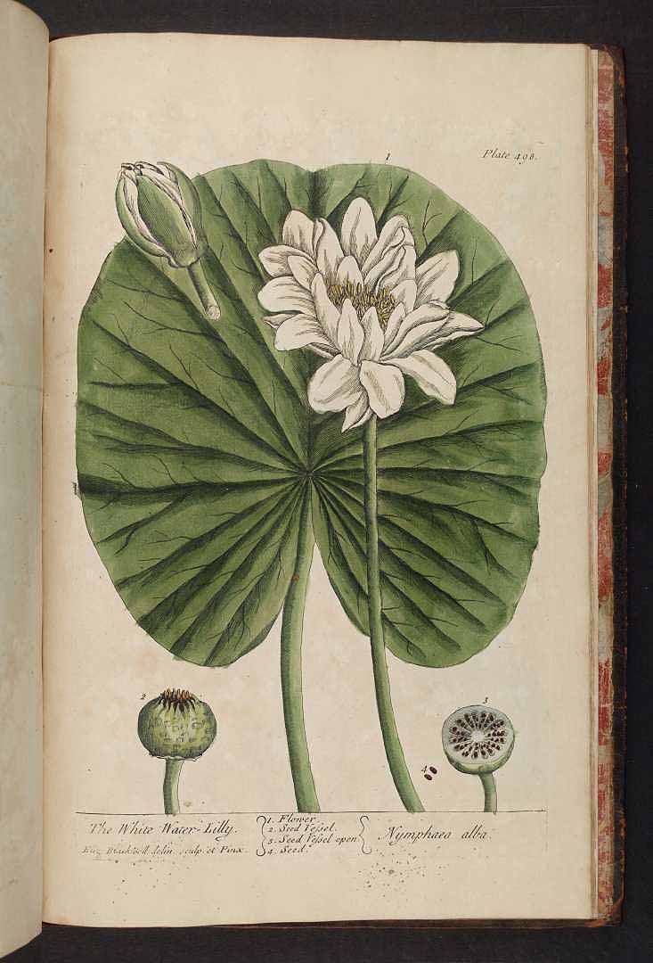 no HD illustration available (3)