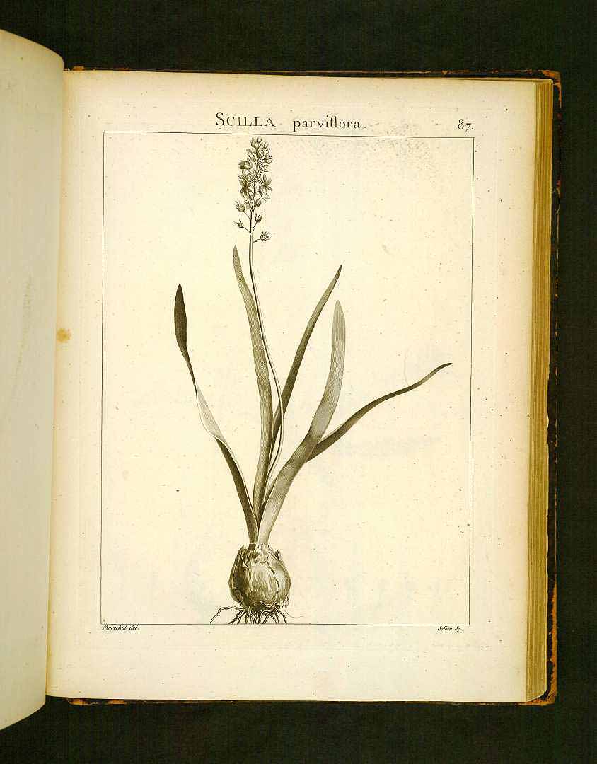 no HD illustration available (3)